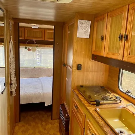 キャンプ場 Beachfront Caravans