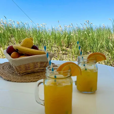 Beachfront Caravans キャンプ場