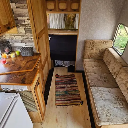 キャンプ場 Beachfront Caravans *