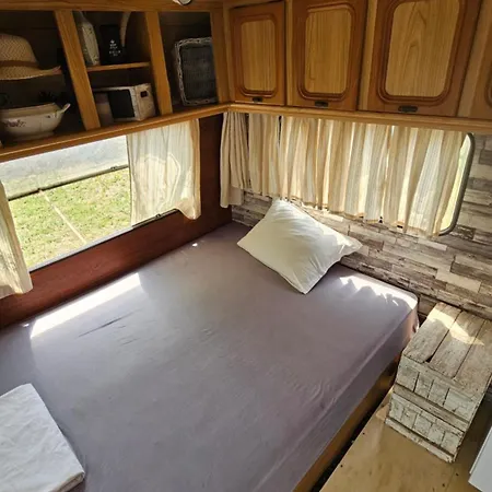 キャンプ場 Beachfront Caravans