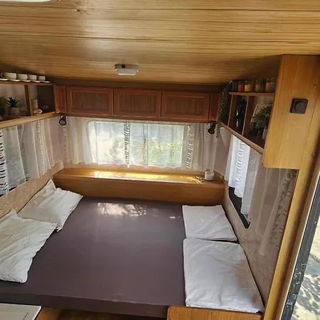 キャンプ場 Beachfront Caravans